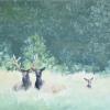 Elk in the Meadow - Mary Wiley-Lewis