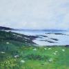 Grassy Coast of Ireland - Joanne Mekis