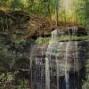 Duane Webb 'Buttermilk Falls - New Florence  oil on canvas $420