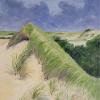 Sarah Gayle Silwones 'Storm on the Dunes' oil on canvas $550