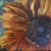 "Sunflowers", Donna Whitford-Housel; pastels - $300