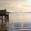 Robert Wertz - Bay in Oregon Coast - photography