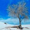 Sherrill Begres
White Sands Tree
Photography
$75 
