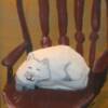 Shelly Kosack
Cat Nap
Acrylic and fiber
$110 
