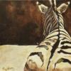 Kim Williams - 'SDZ Zebra' - acrylic