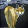 "Night Prowler"
Color pencil on board
$245 
by Sally Sturm
