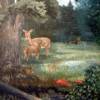 Duane Webb - Doe and Fawn - oil - $495