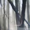 Mark Eash - Ghostly Forest - Photography - $80