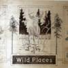Paul Rizak - Wild Places - Pyrography - $490