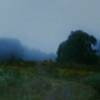Steve Jendricks - Blue Mist train - Photography - $100