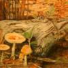 Forest Floor - Larry Mallory
Watercolor $1400