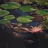 Judith Crookston 'Pond Life' mixed media