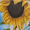 Lora Marsh 'Sunflower' oil on wood panel