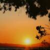 Cecelia Hersh   "Sunset on Finger Lake"	Digital Photography	$100.00