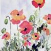 Poppies, Watercolor, $95
 by Helen Thorne