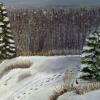 Winter Solice,  Acrylic, $300  
by Tracy Bradford