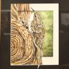 Anna Antemann Award - Shelly Poli, Brown Creeper, watercolor - $375
