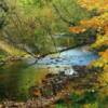 Rafferty, Ray - Unraveling Autumn; mixed media on canvas - $150
